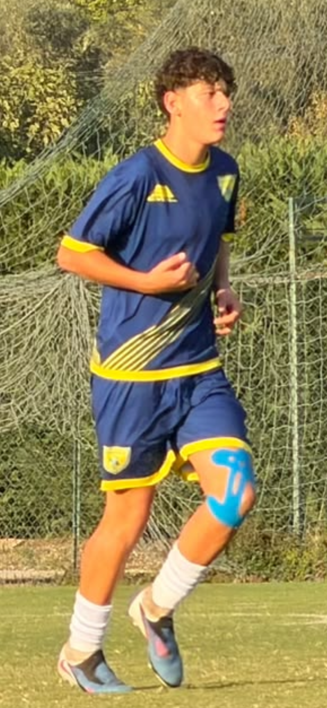 NICOLA ALTIERI