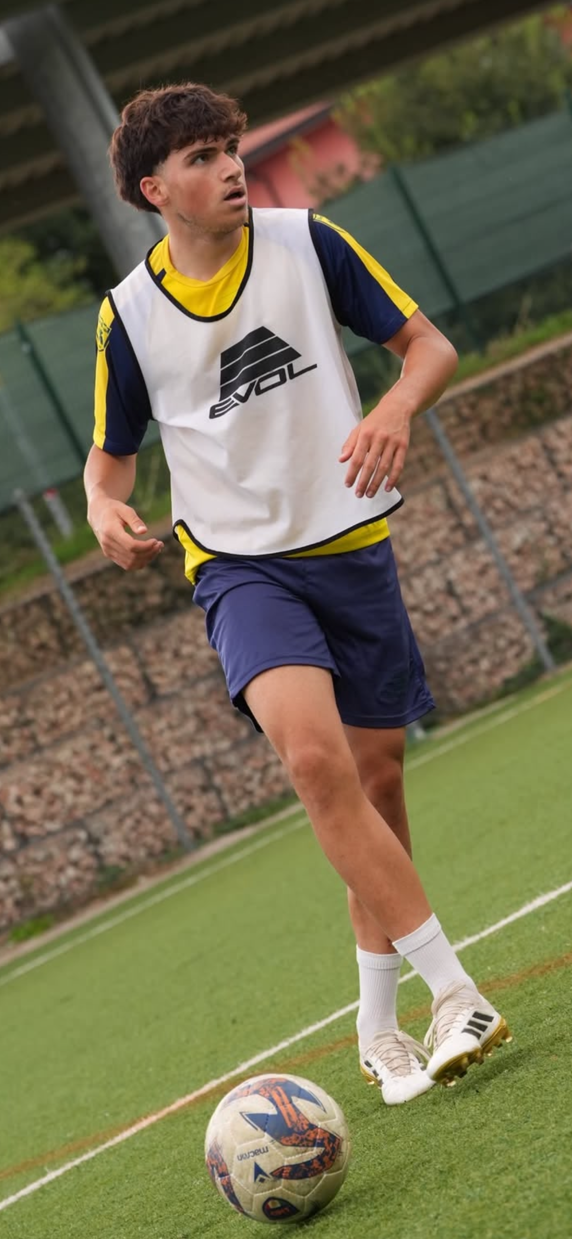 DAVIDE CARPINETA