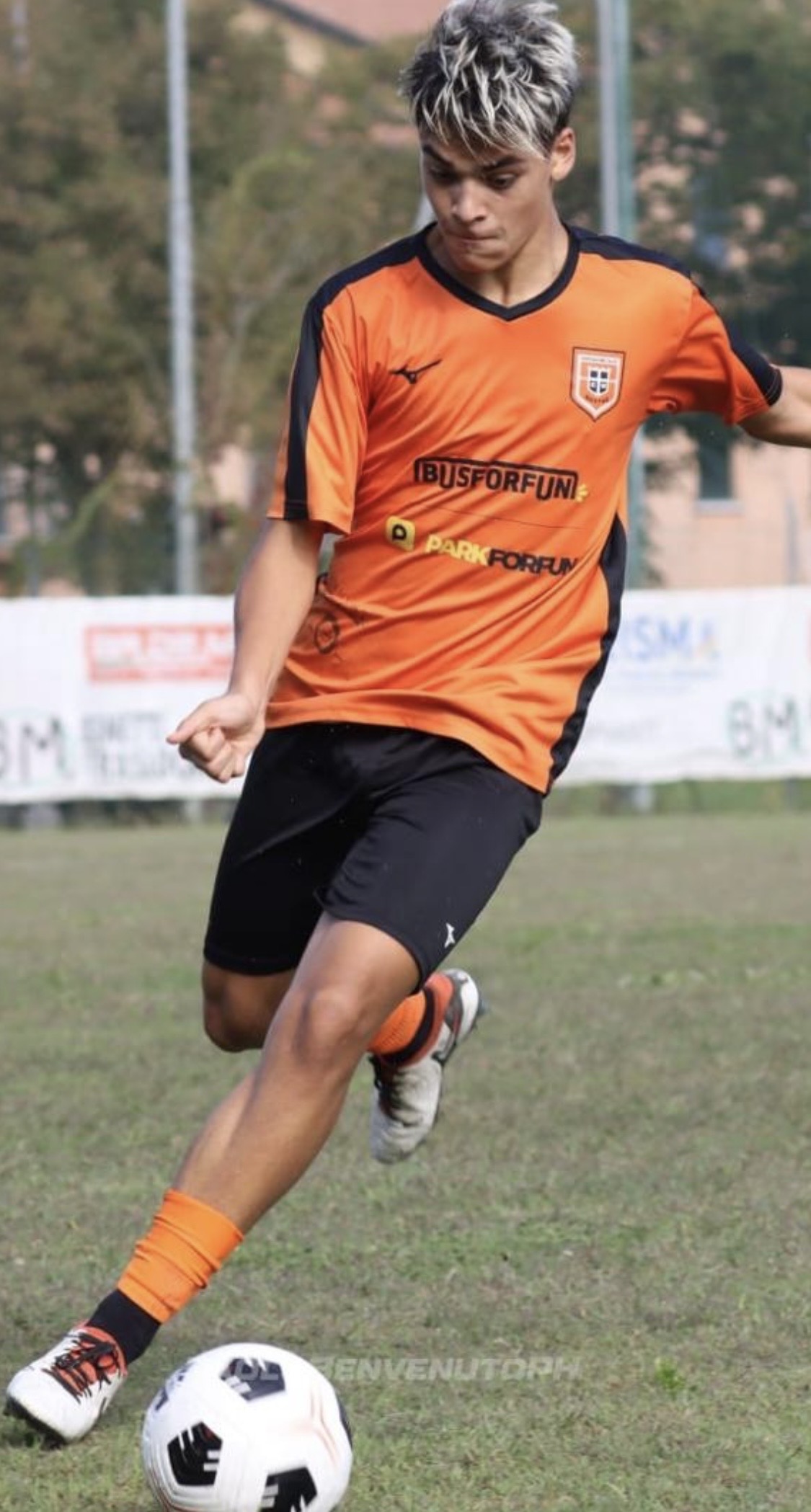 MICHELANGELO BOSCARO